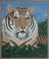 Tigre Siberiana