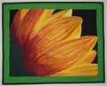 Gerbera